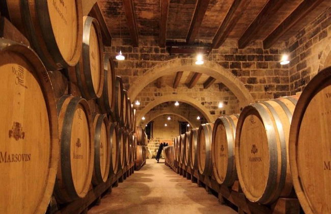 Las Tres Ciudades y cata de vinos - Foto 4